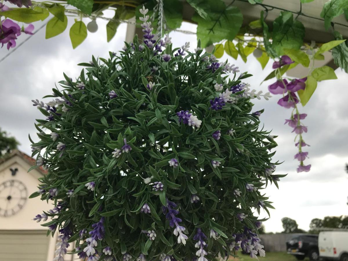 绿色老茅草屋酒店 泰克利 外观 照片